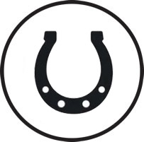 SIODEŁ I AKCESORIÓW JEŹDZIECKICH